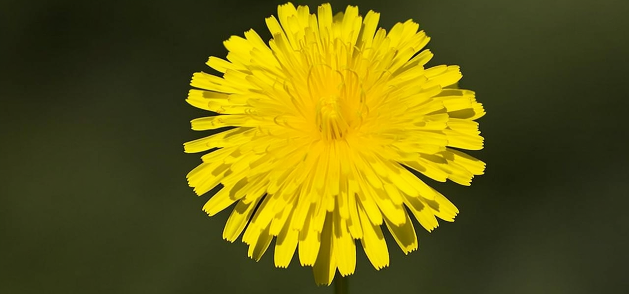 黄金怎么辨别真假图片